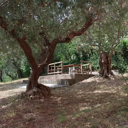 Villa Arieta